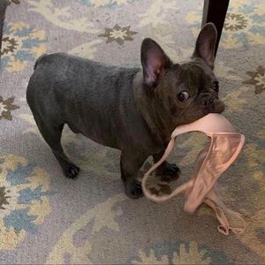 Meet your Posher, Diego